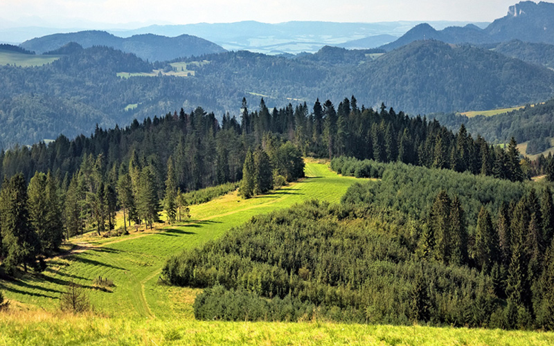 BESKID ŚLĄSKI